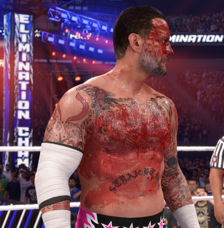 Bruises Mod Main Screenshot